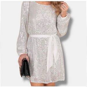 Never worn shop the mint Silver Midnight in Paris Sequin Dress w/ white belt L